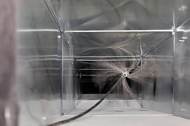 Best Air Duct Mold Removal  in Conashaugh Lakes, PA
